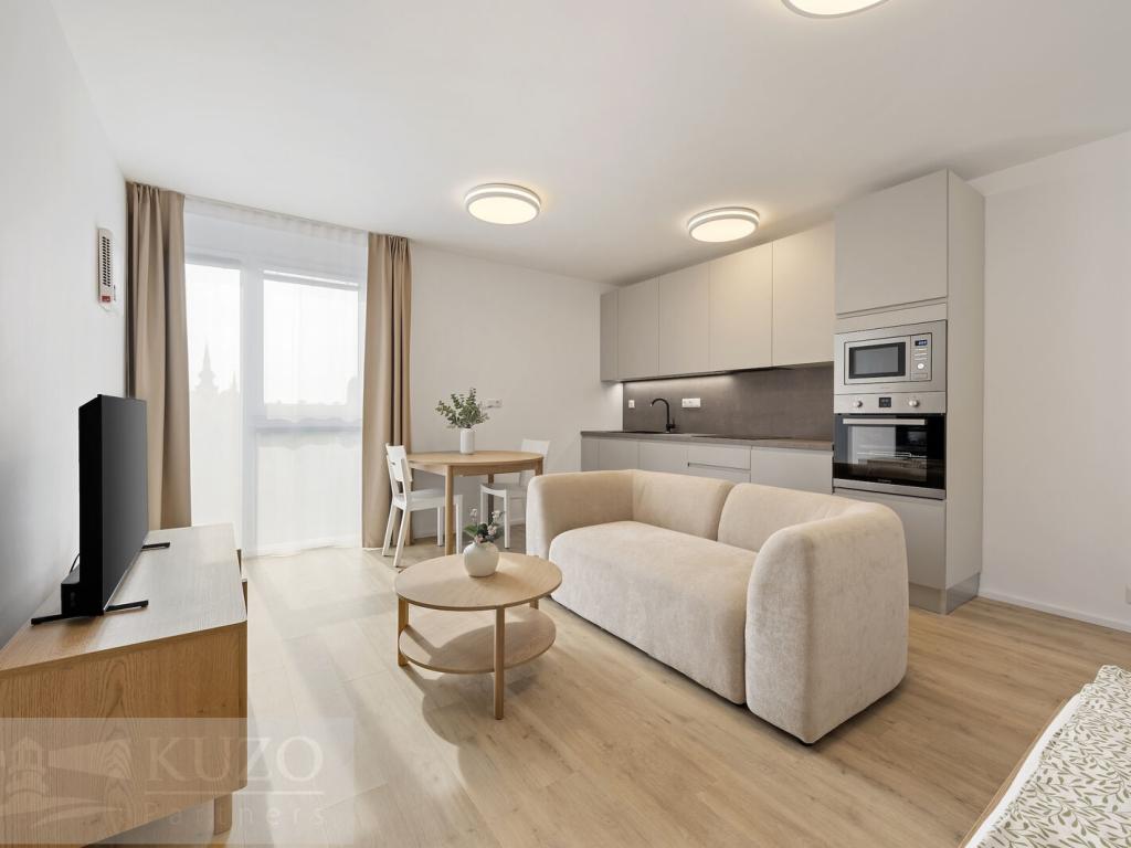 Pronájem bytu 1+kk 38 m2
