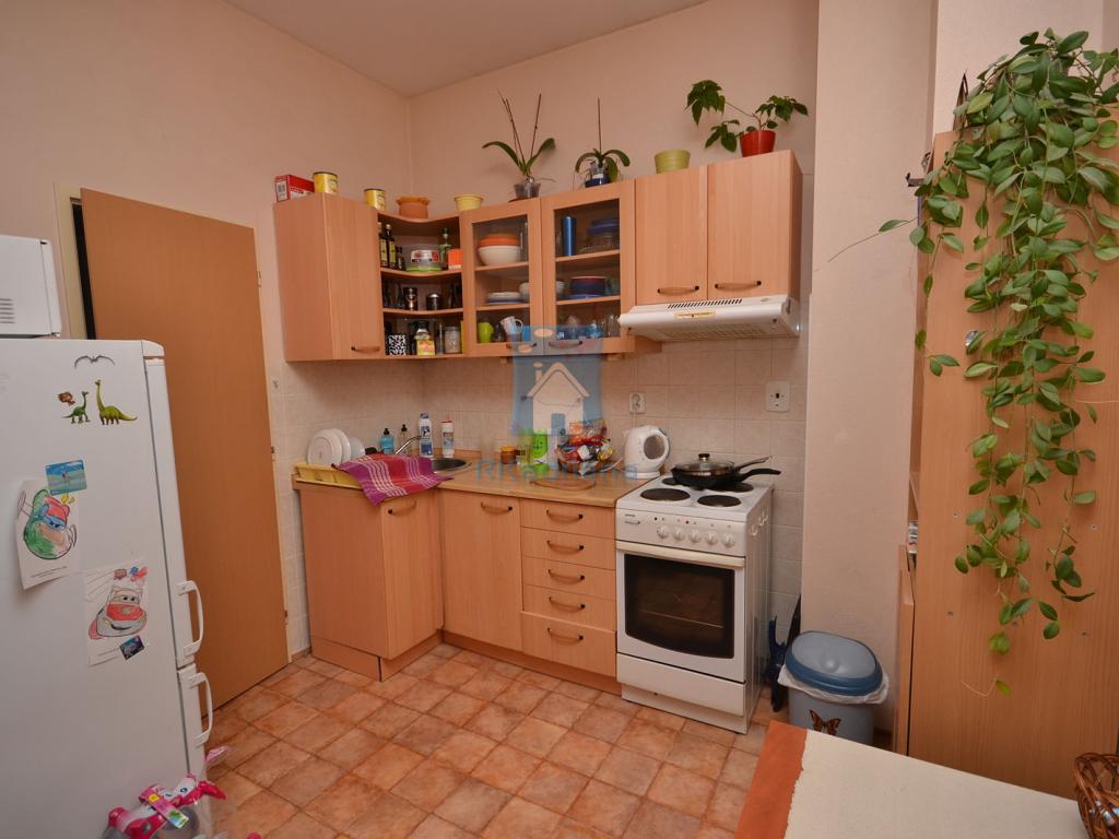 Pronájem bytu 1+1 42 m2