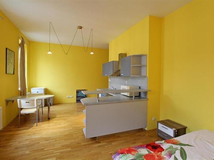 1+kk Apartment in Brno, Veveří - View 2