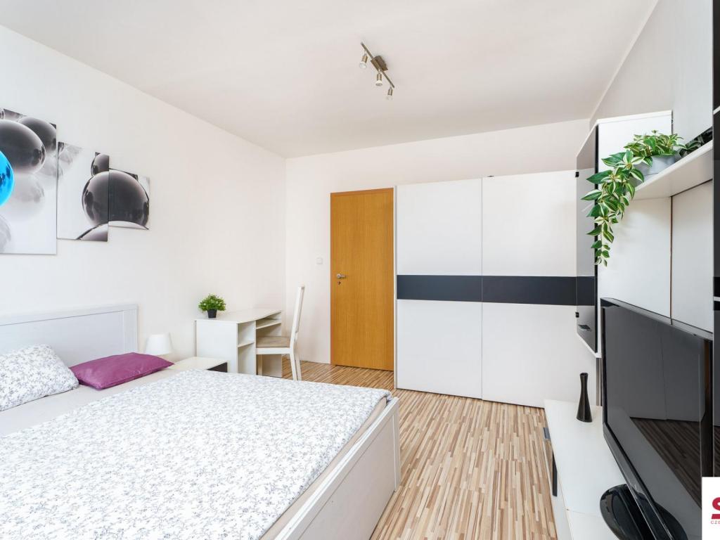 Pronájem bytu pokoj 15 m2