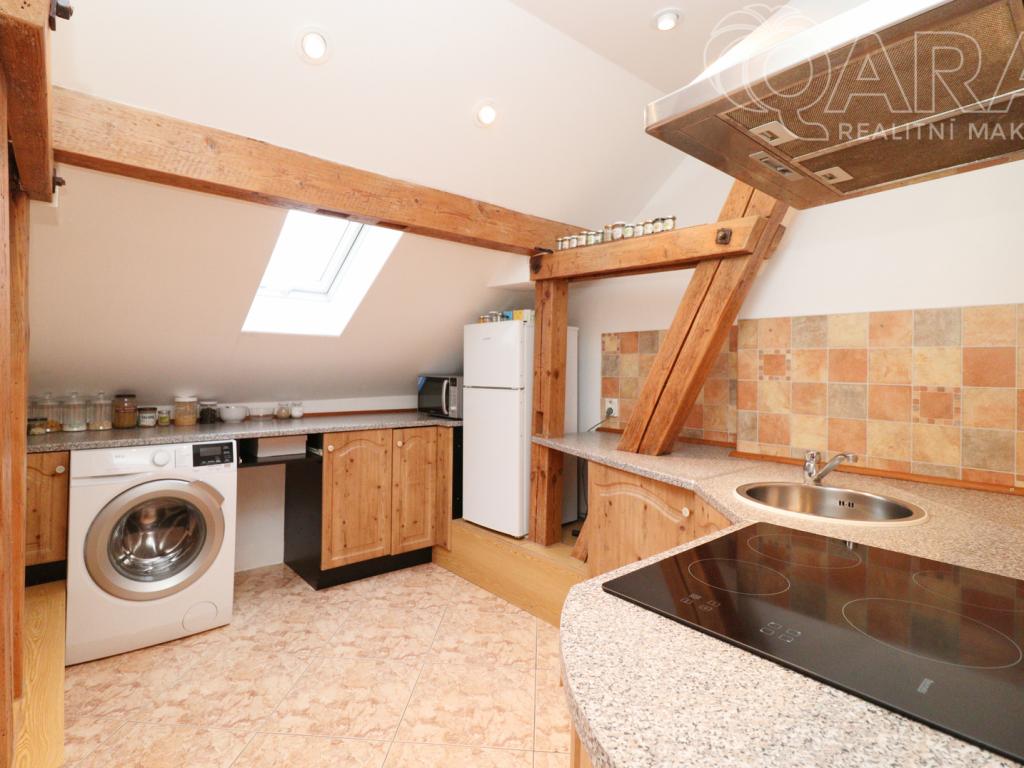 Pronájem bytu 1+1 45 m2