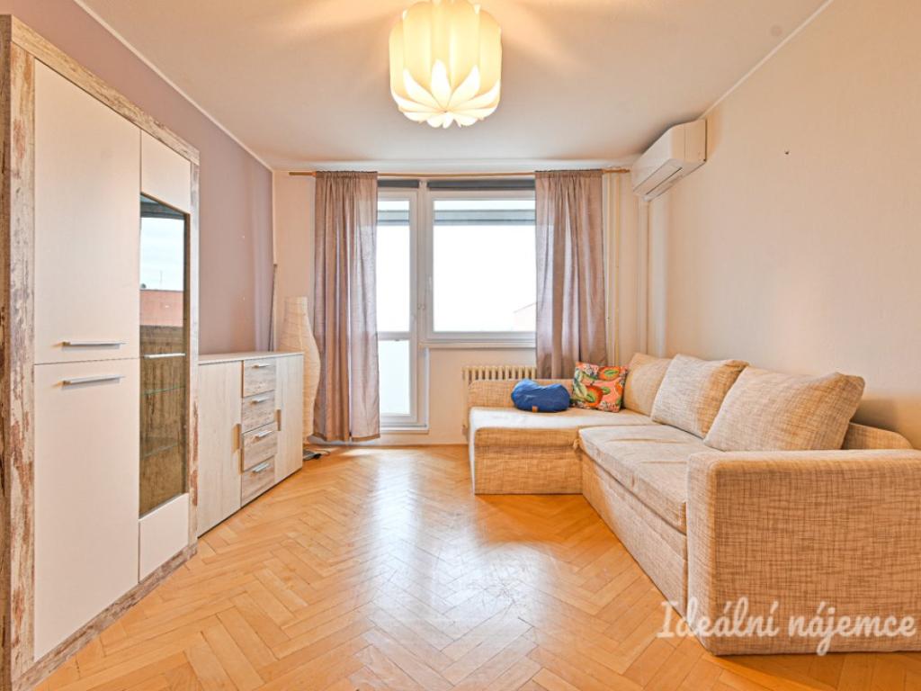 Pronájem bytu 1+1 45 m2