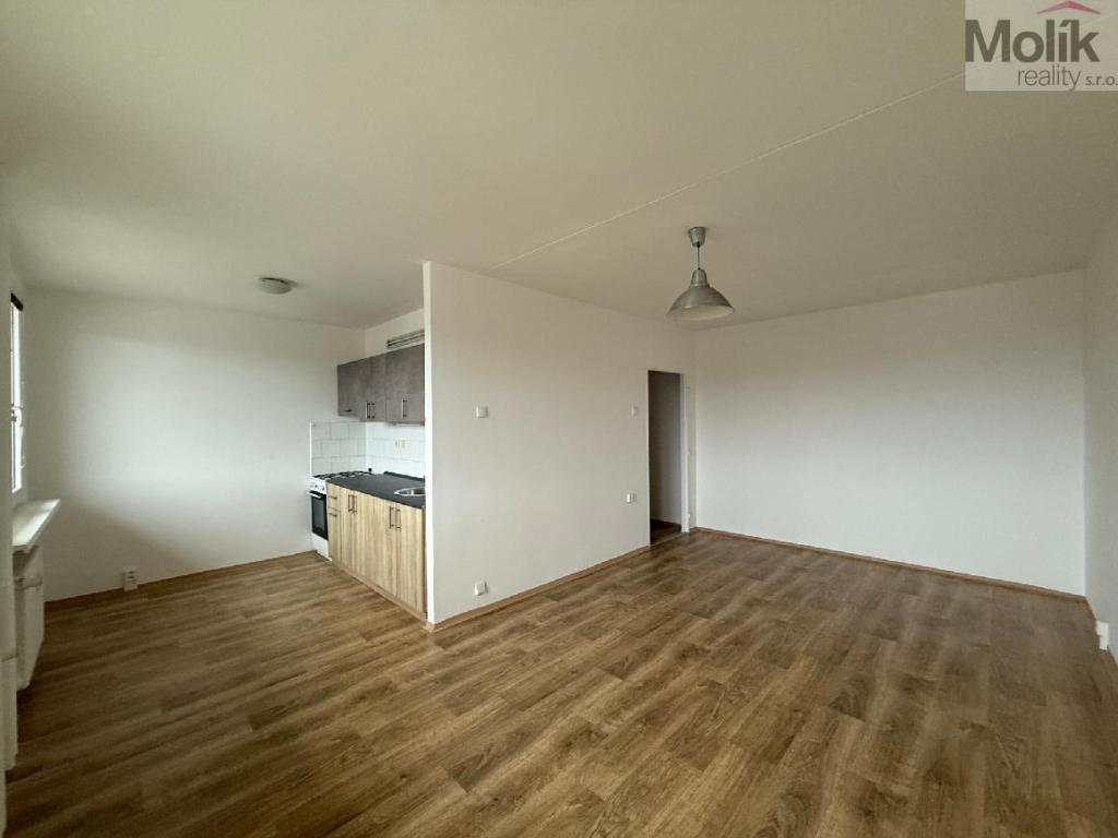 Pronájem bytu 2+1 48 m2