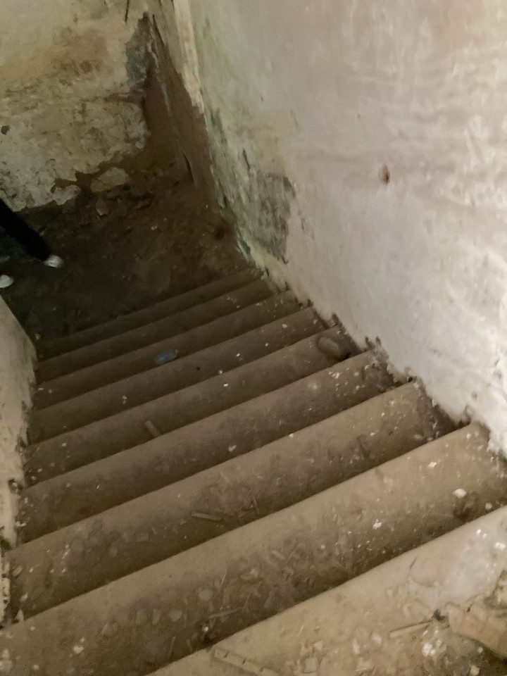 Prodej domu 800 m2, Žacléř – náhled fotky 28