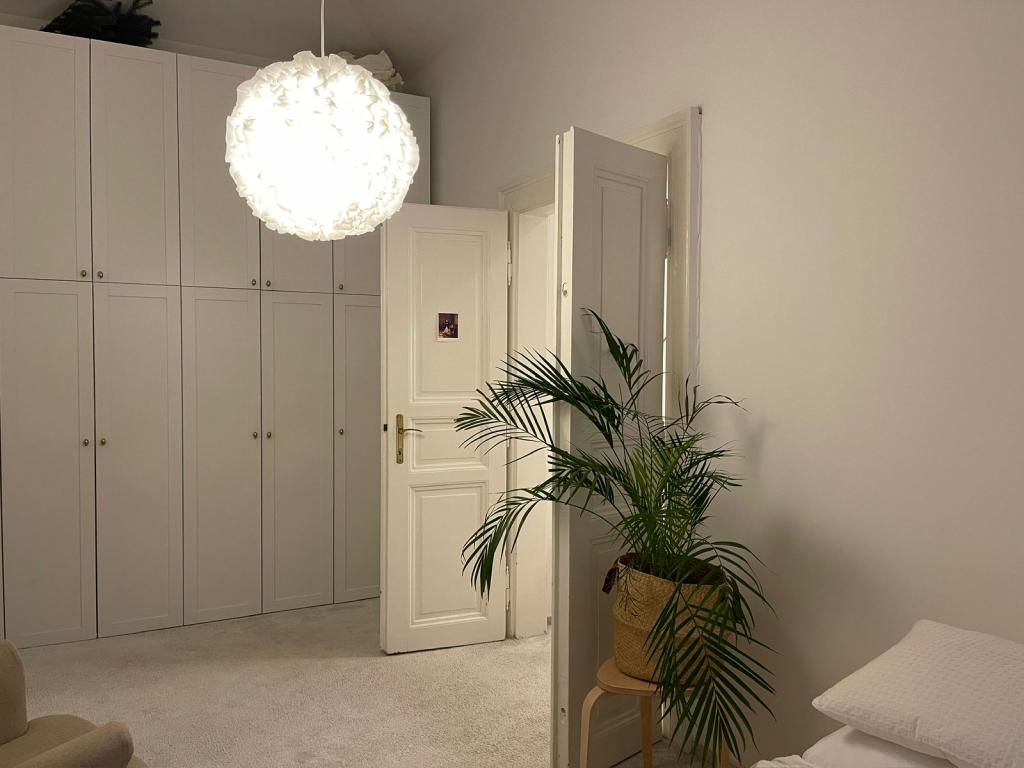 Pronájem bytu 2+kk 33 m2