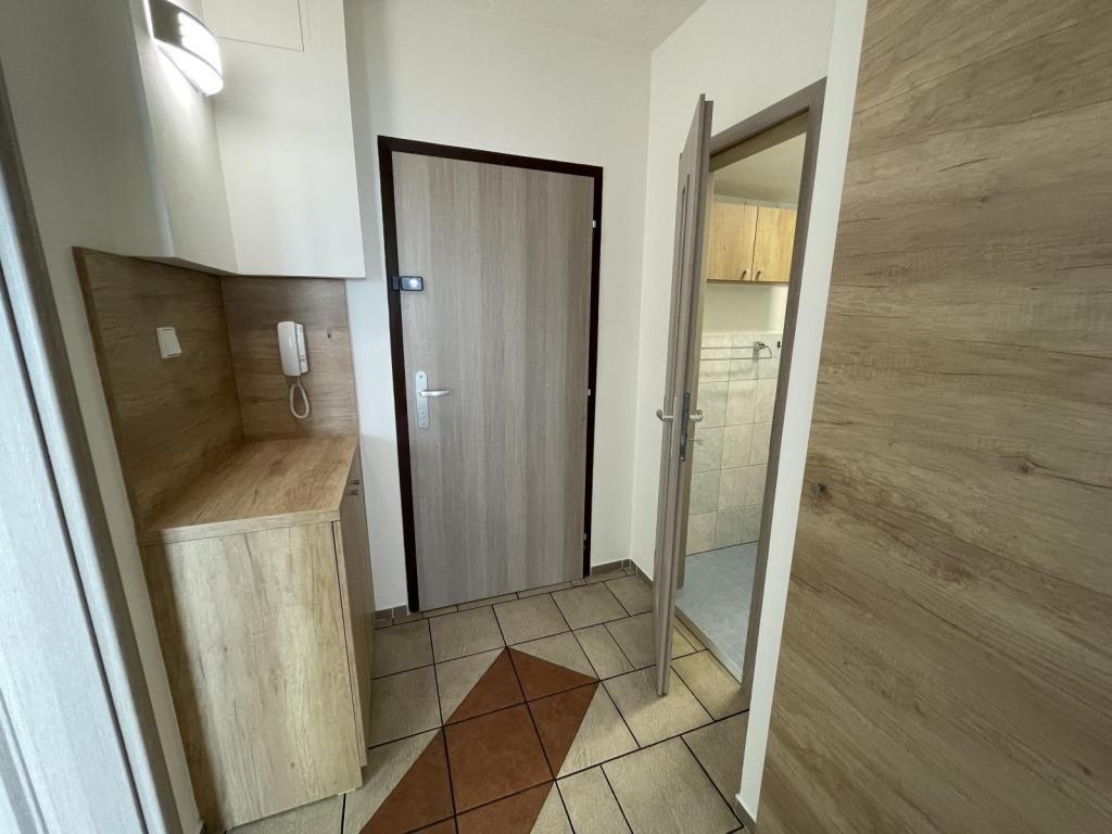 Pronájem bytu 2+1 45 m2