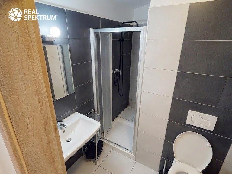 Pronájem bytu 1+kk 48 m2