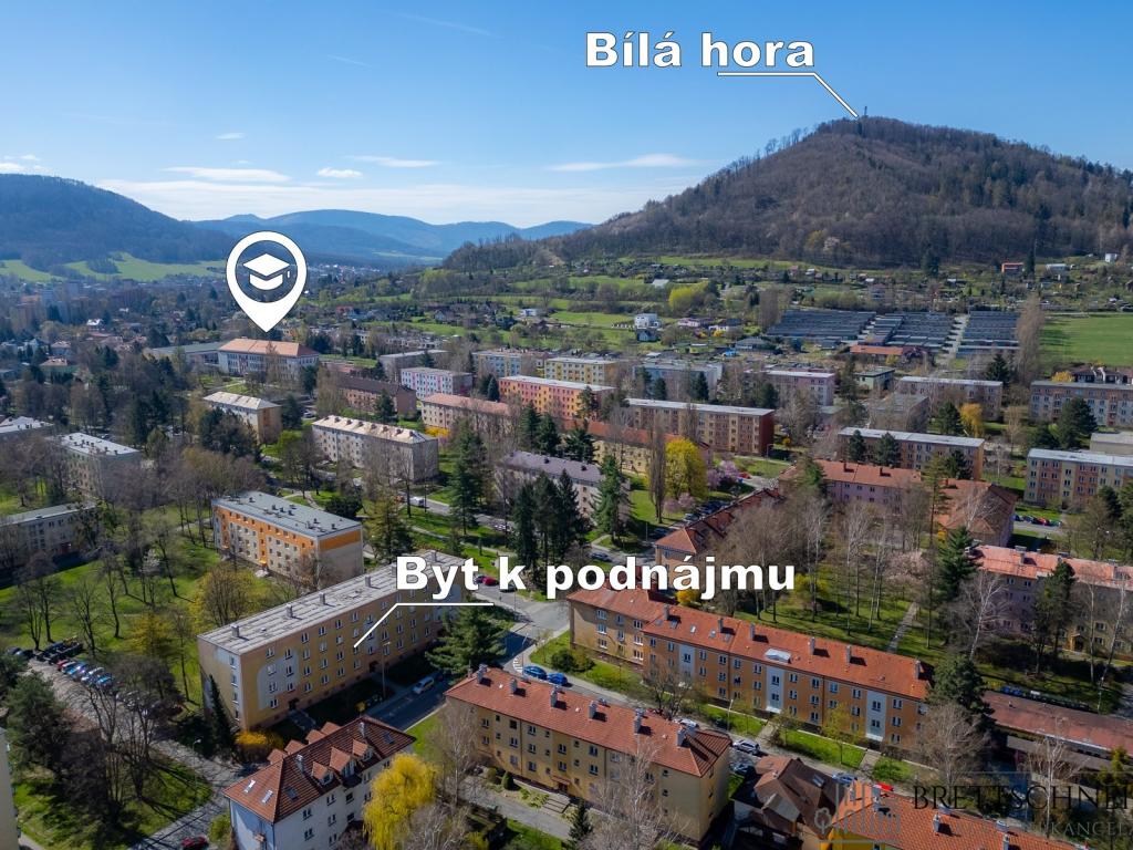 Pronájem bytu 2+1 53 m2