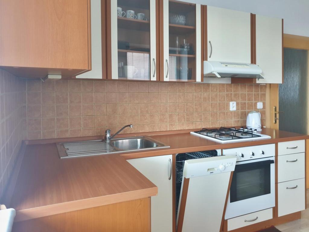 Pronájem bytu 3+1 103 m2