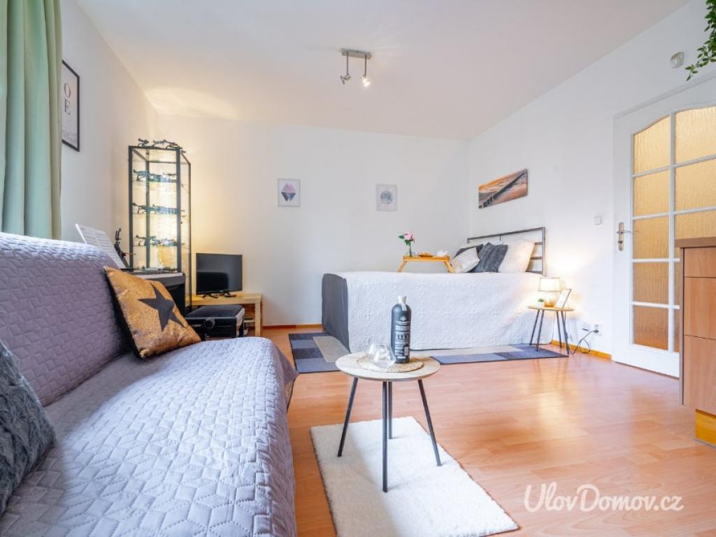 Pronájem bytu 1+kk 33 m2