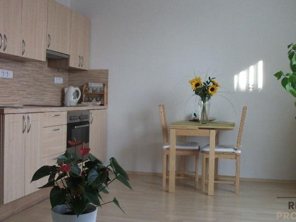 Pronájem bytu 1+kk 29 m2