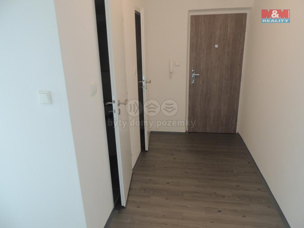 Pronajem bytu 1+1 38 m2
