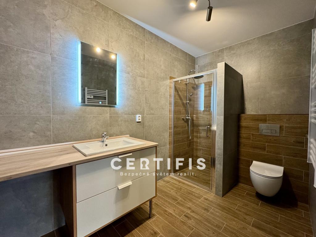 Pronájem bytu 1+1 45 m2