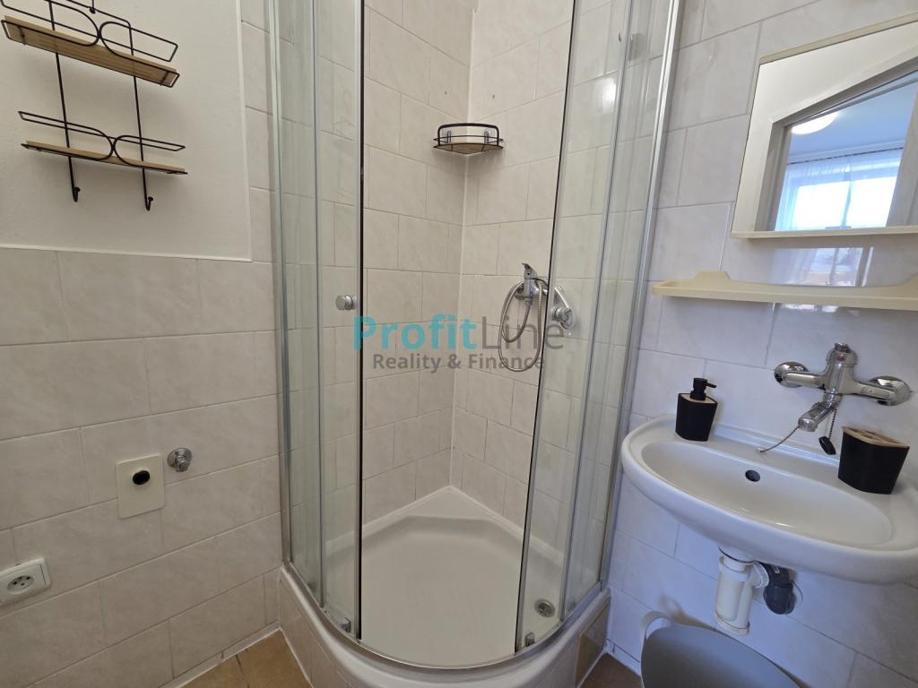 Pronájem bytu 1+1 40 m2