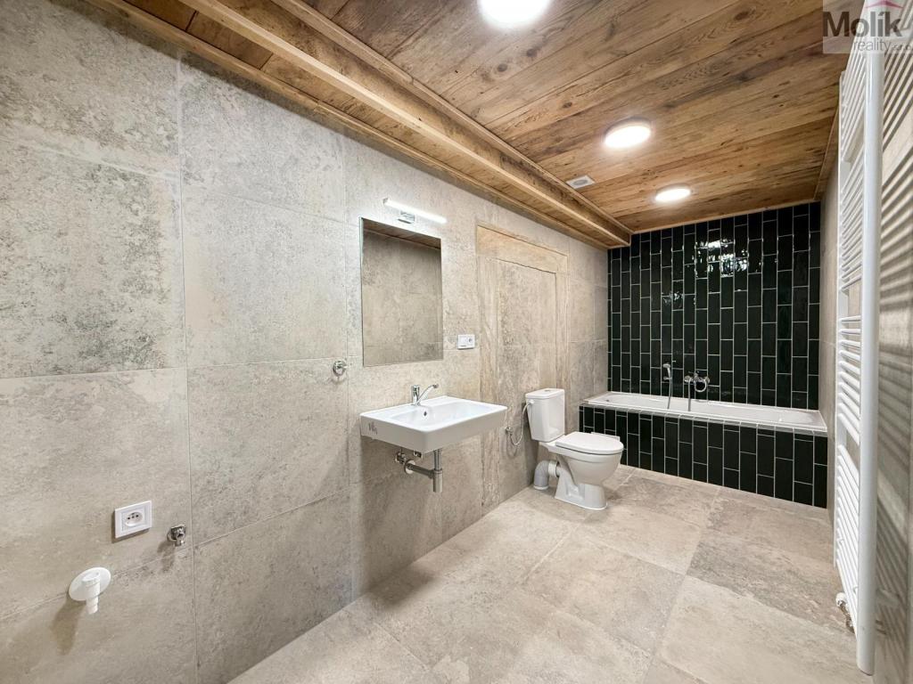 Pronájem bytu atypický 135 m2