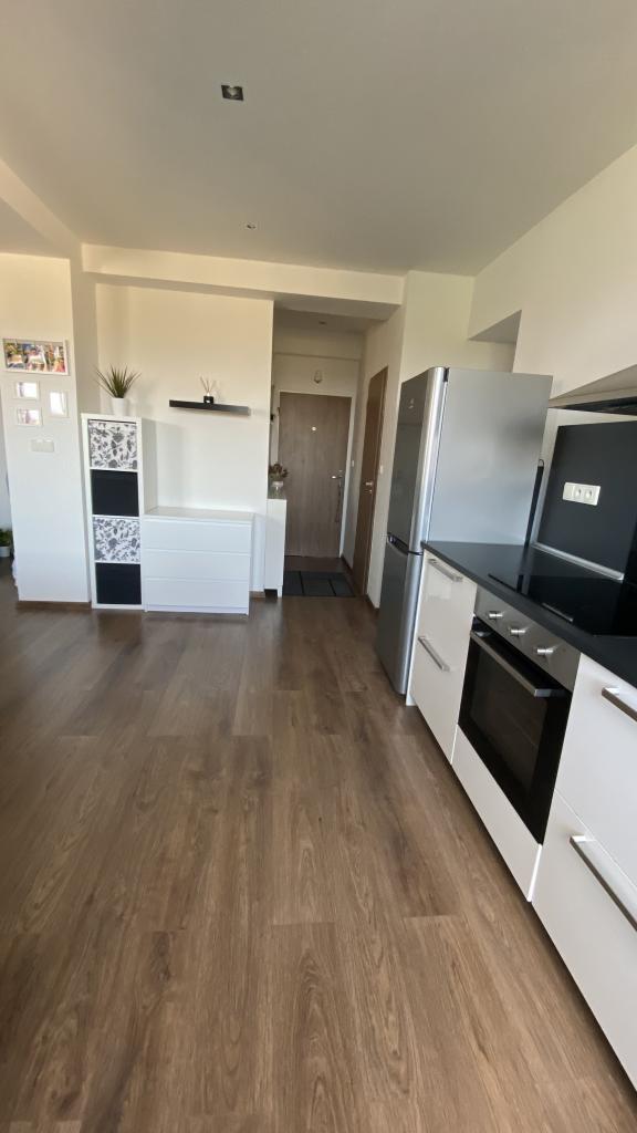 Pronajem bytu 2+kk 55 m2