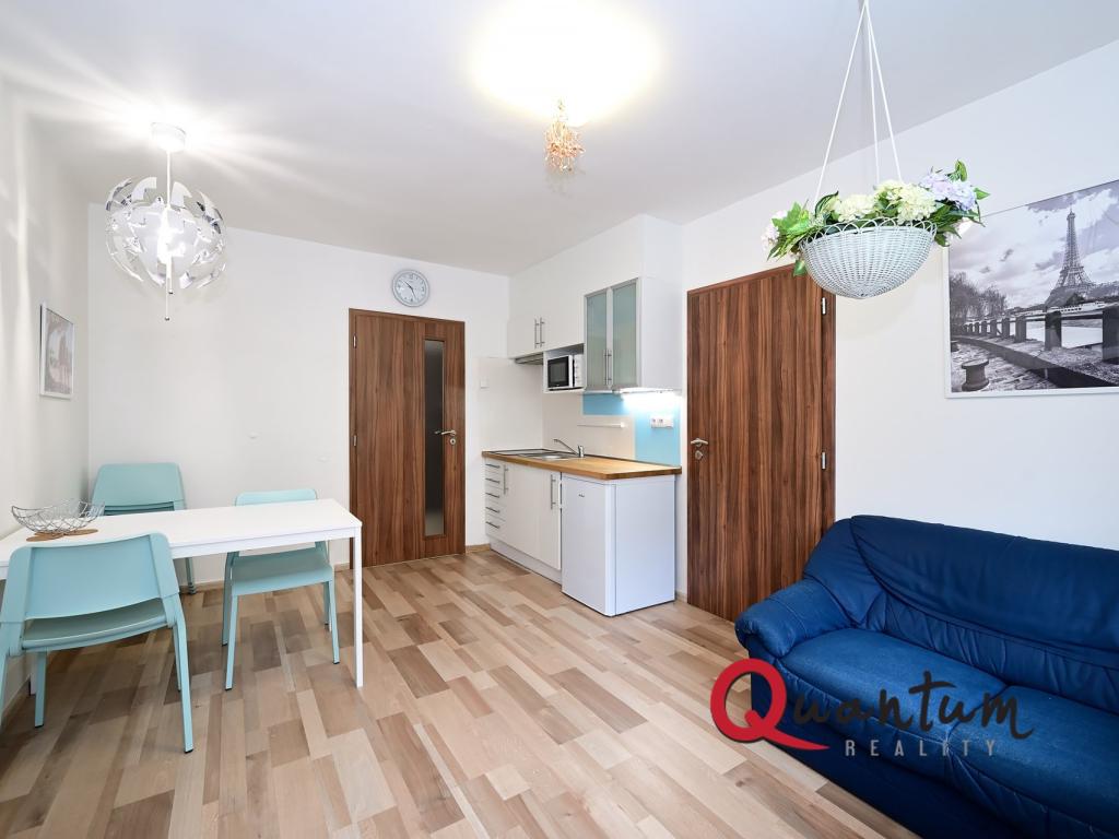 Pronájem bytu 3+1 61 m2, Praha – náhled fotky 8