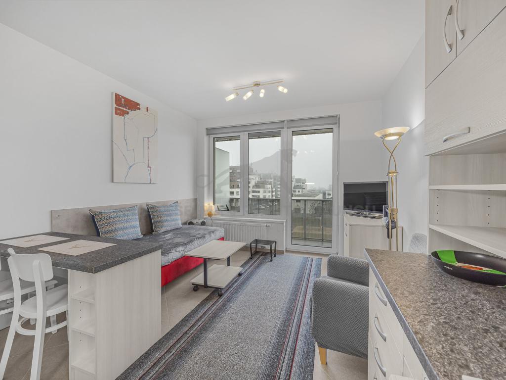 Pronájem bytu 1+kk 29 m2