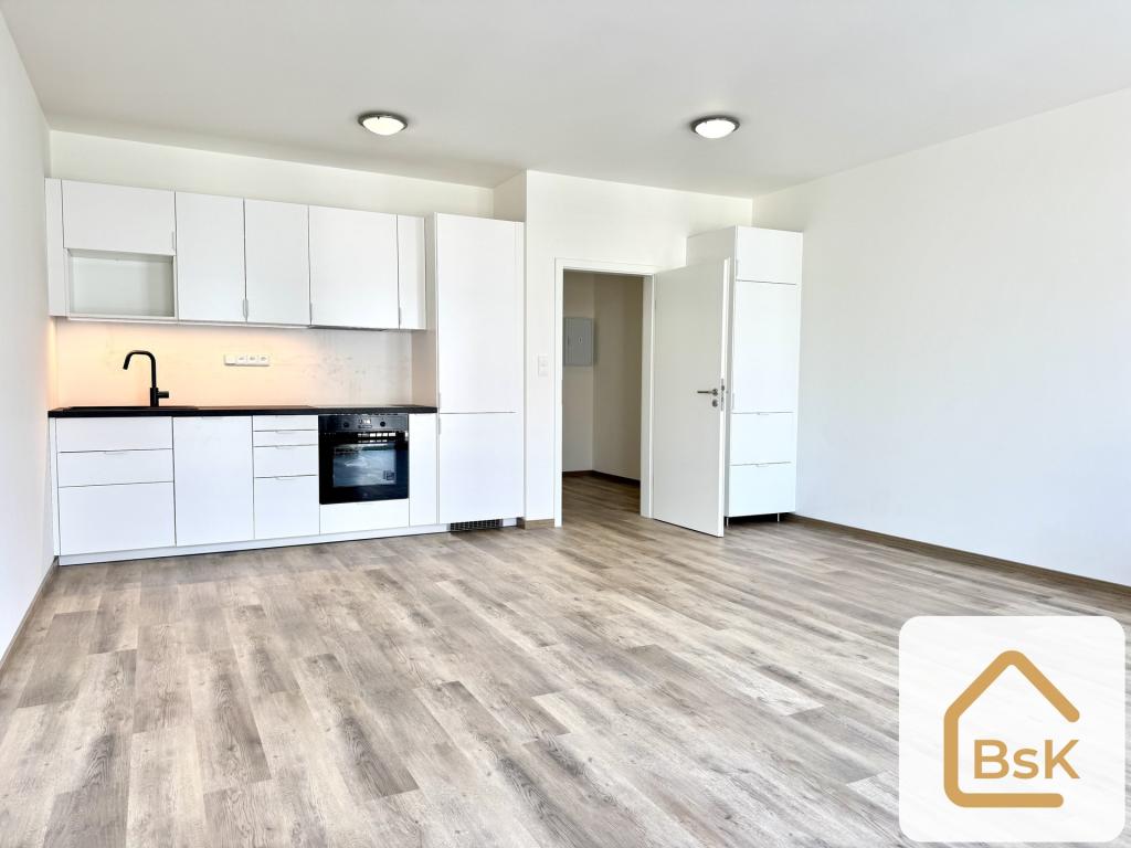 Pronájem bytu 1+kk 44 m2