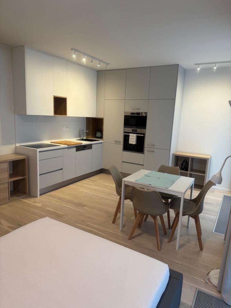 Pronájem bytu 1+kk 36 m2