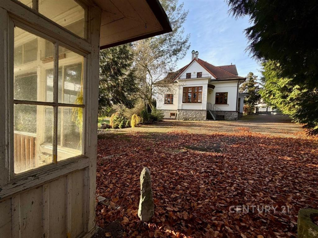 Pronájem domu 450 m2