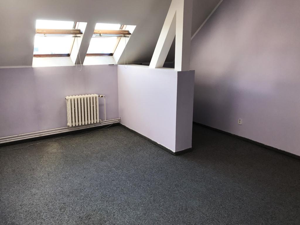 Spolubydleni bytu celý pokoj 30 m2