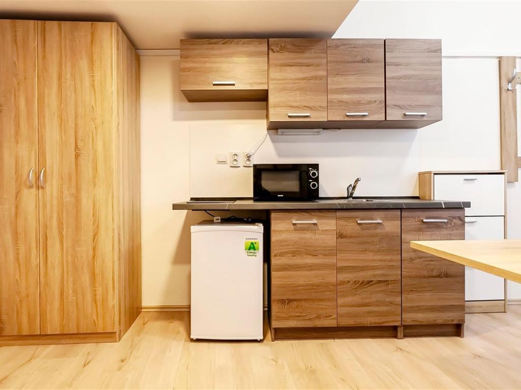 Pronájem bytu 1+kk 20 m2