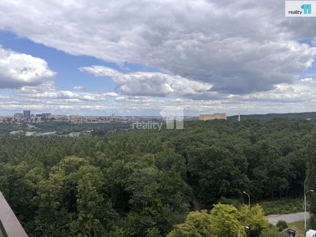 Pronájem bytu 3+1 74 m2