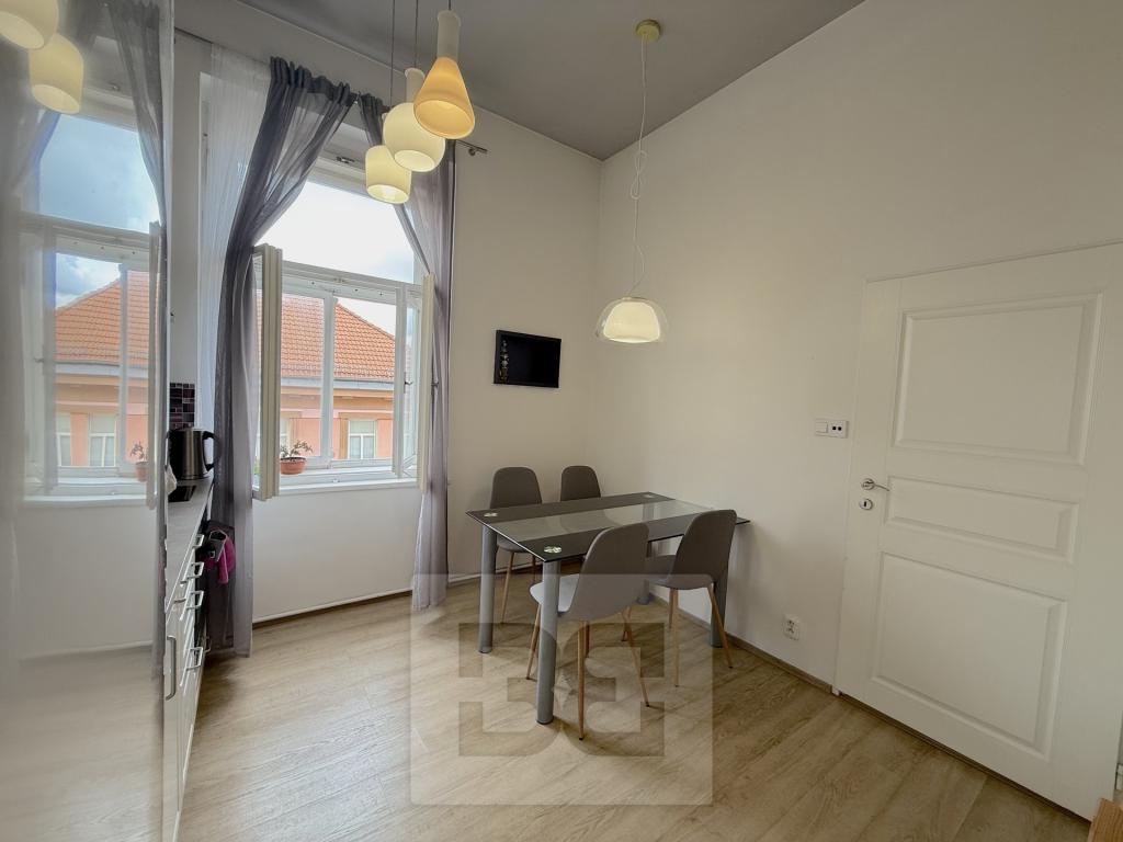 Pronájem bytu 1+1 40 m2, Praha – náhled fotky 6