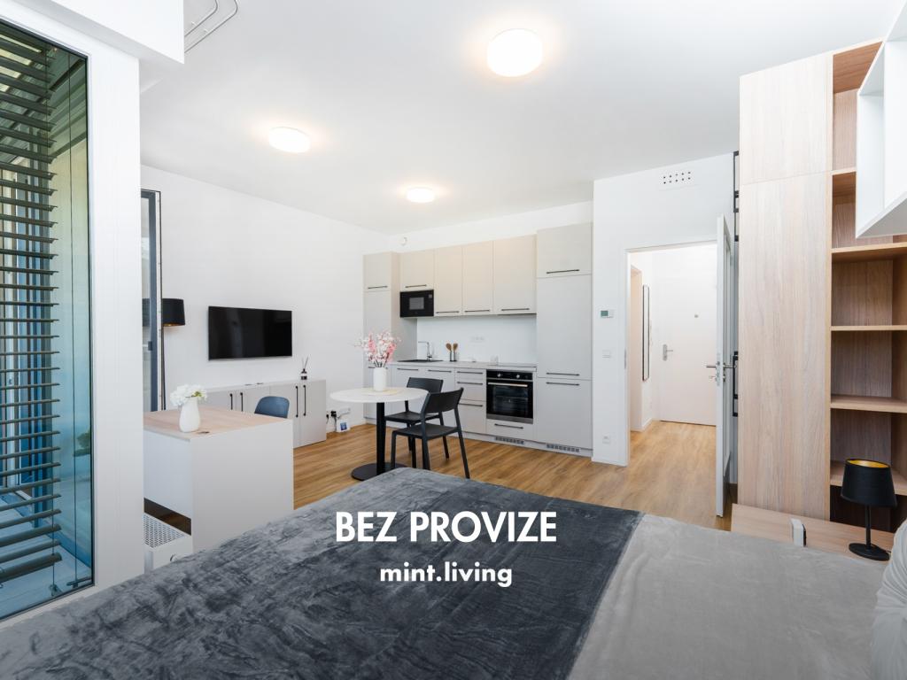 Pronájem bytu 1+kk 42 m2