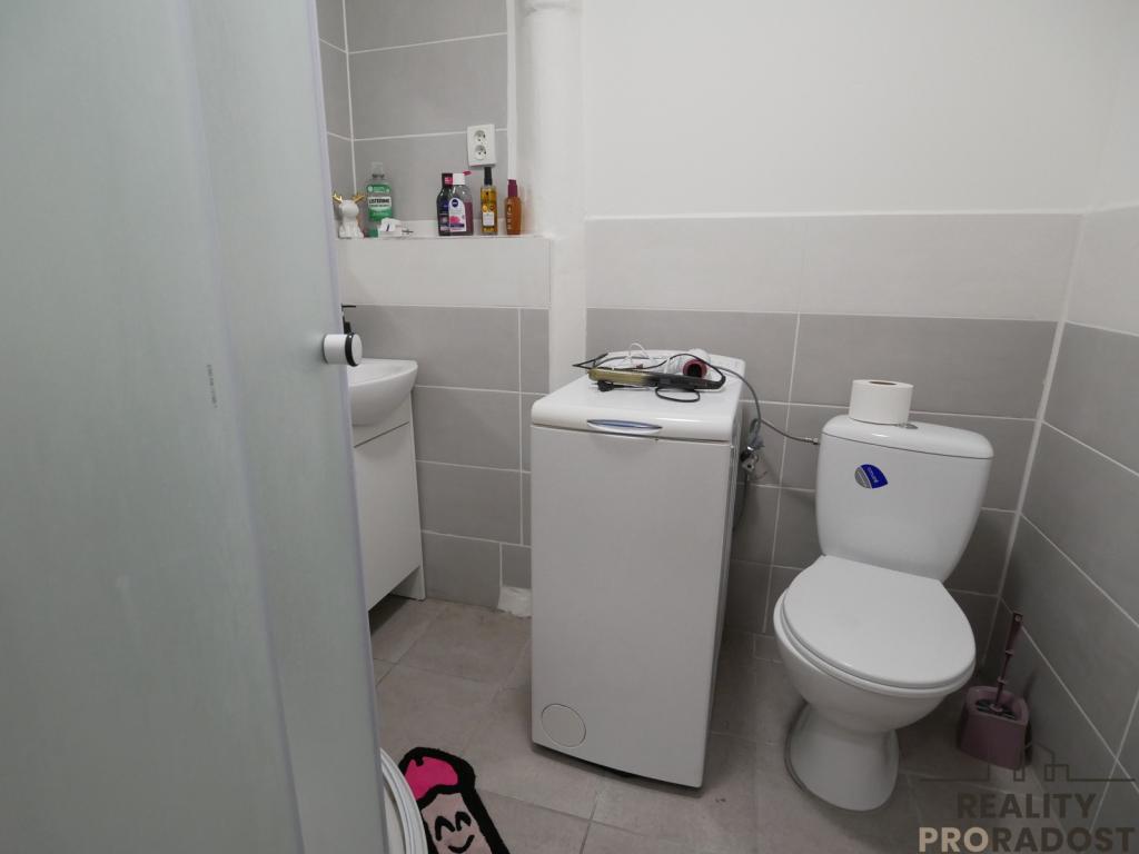 Pronájem bytu 1+kk 42 m2