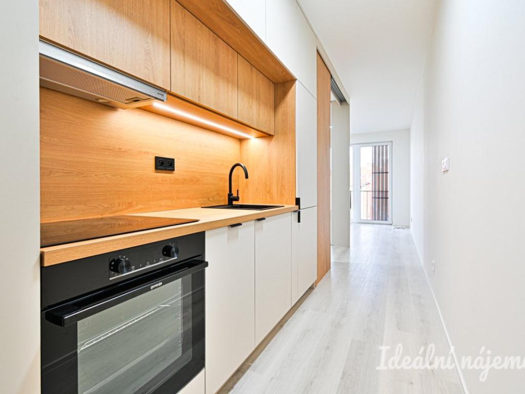 Pronájem bytu 1+kk 38 m2