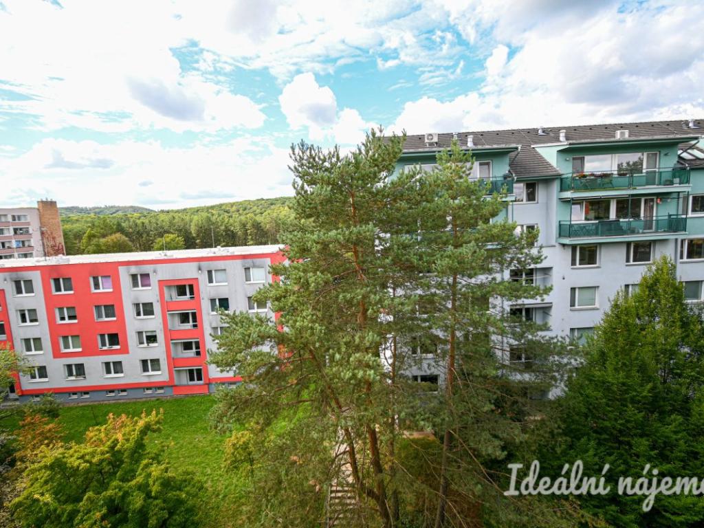 Pronájem bytu 2+kk 53 m2, Brno – náhled fotky 19