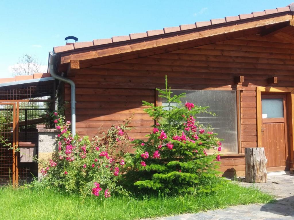 Pronajem bytu 1+kk 45 m2