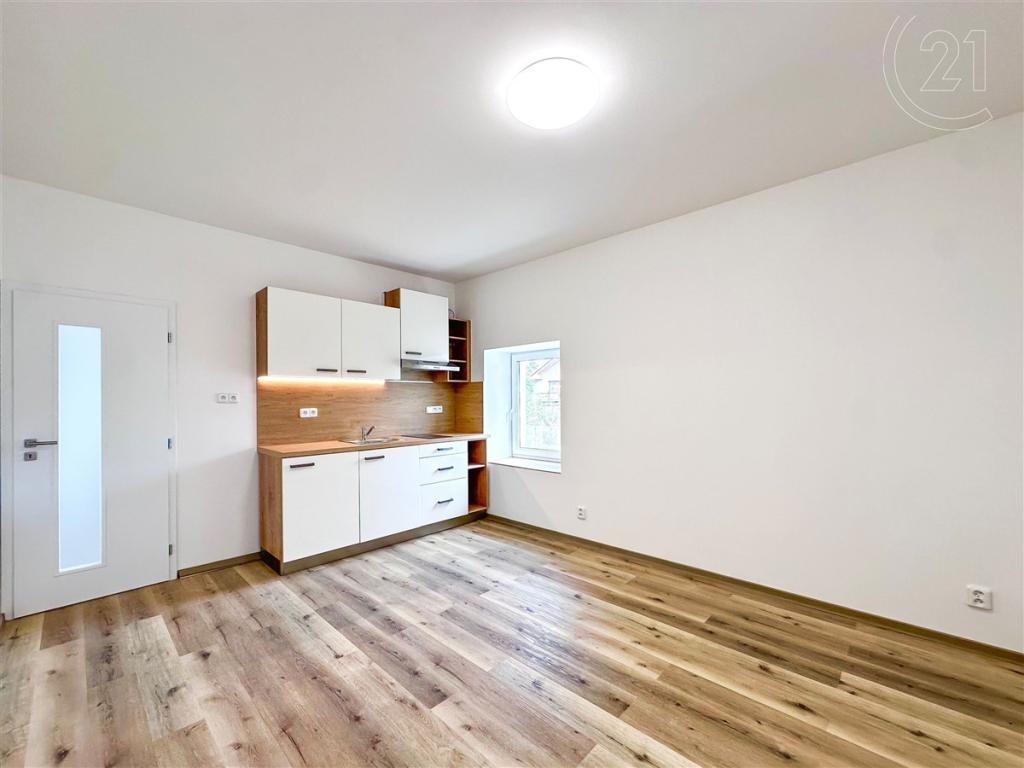 Pronájem bytu 1+kk 45 m2