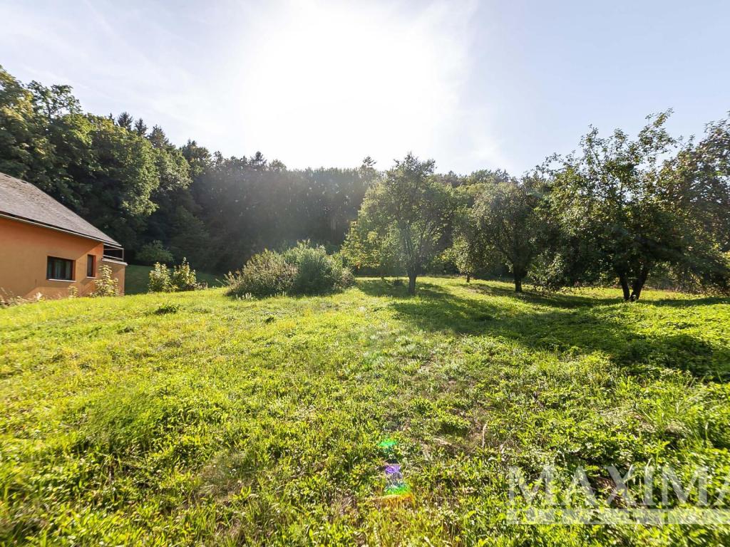 Prodej pozemku 3738 m2, Hrubá Skála – náhled fotky 8