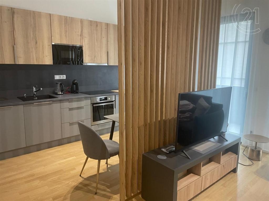 Pronájem bytu 1+kk 57 m2