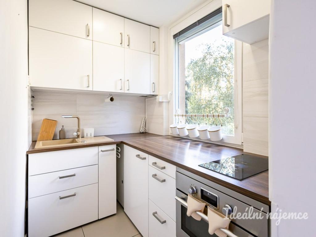 Pronájem bytu 1+1 31 m2