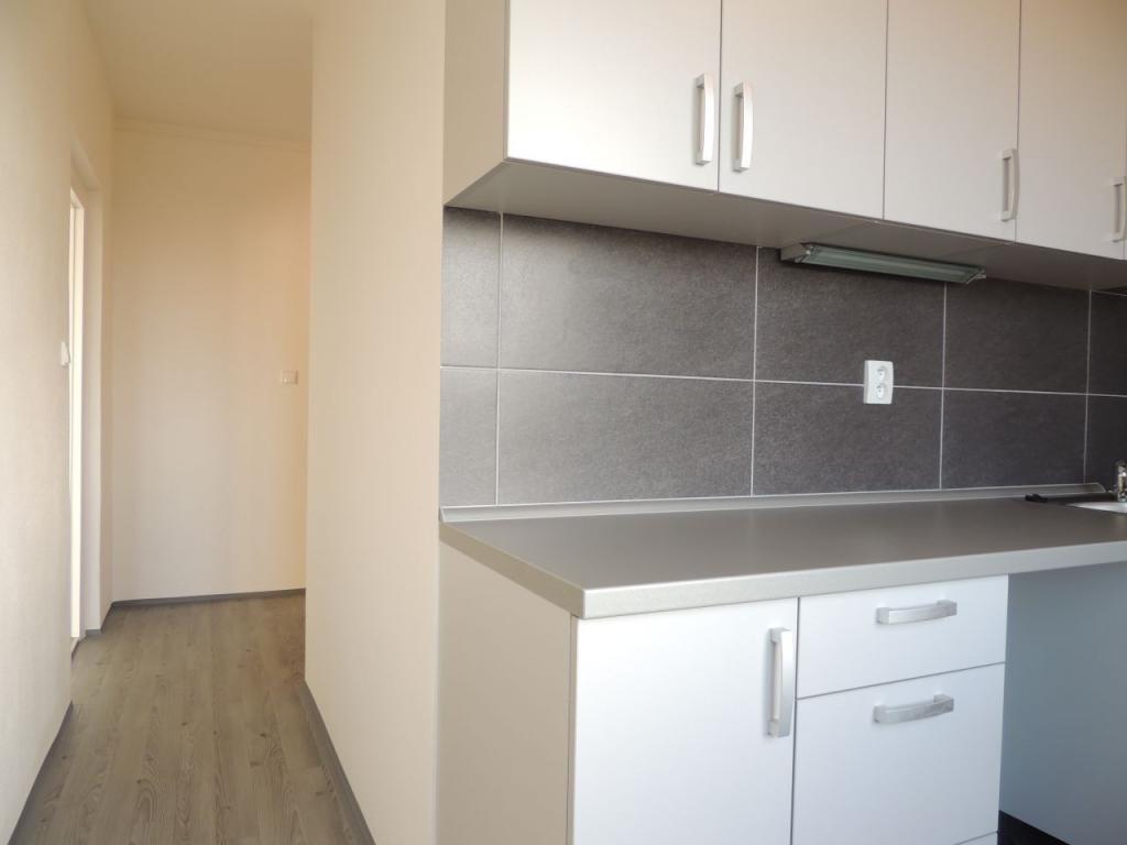 Pronájem bytu 2+1 60 m2