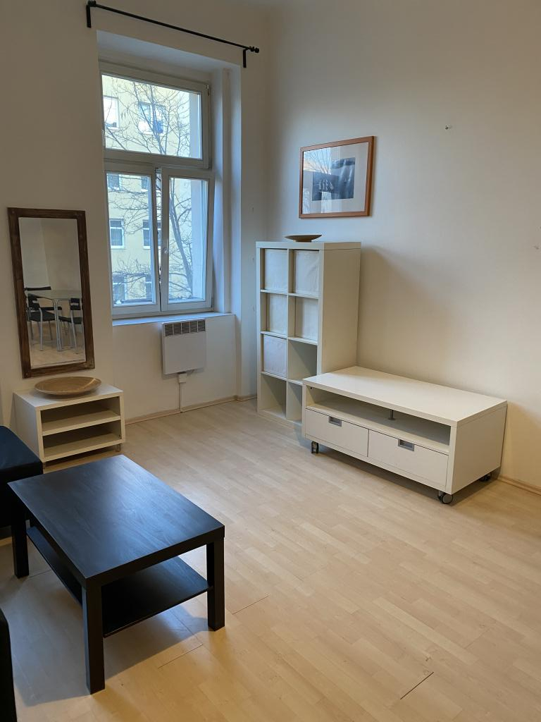 Pronájem bytu 1+1 44 m2