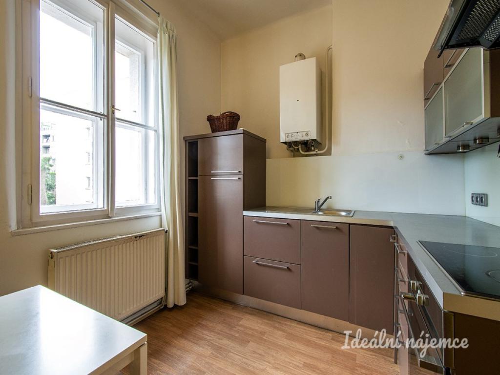Pronájem bytu 1+1 45 m2