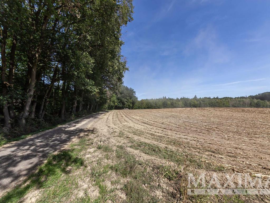 Prodej pozemku 3636 m2, Lhotky – náhled fotky 14