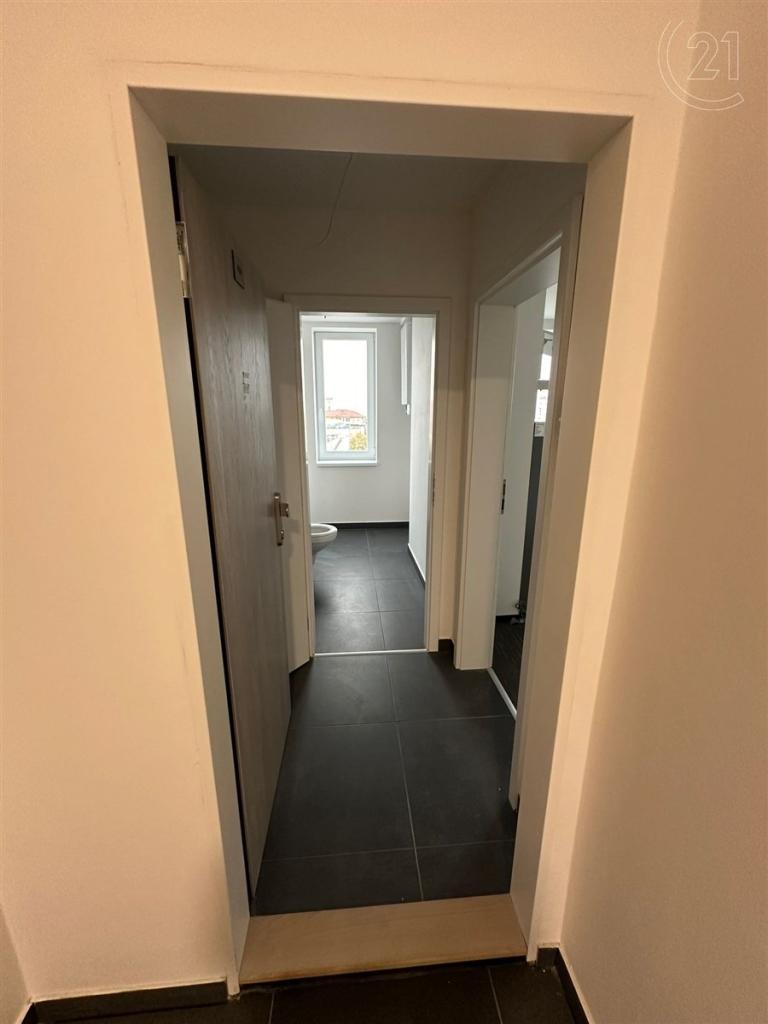 Pronájem bytu 1+kk 34 m2