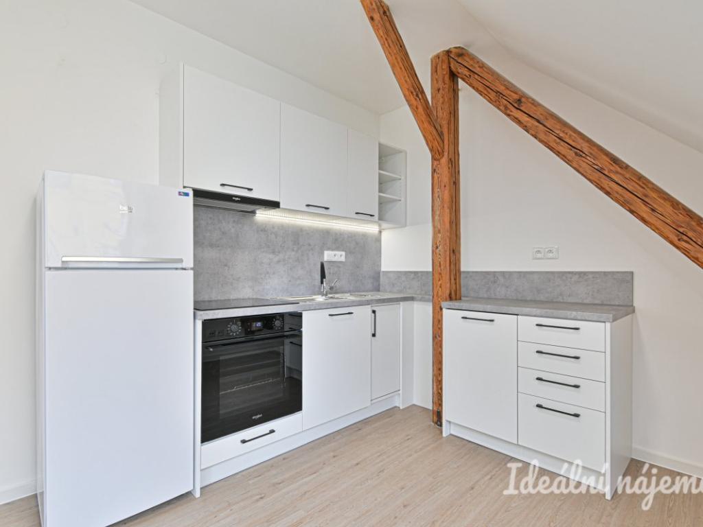 Pronájem bytu 1+1 45 m2