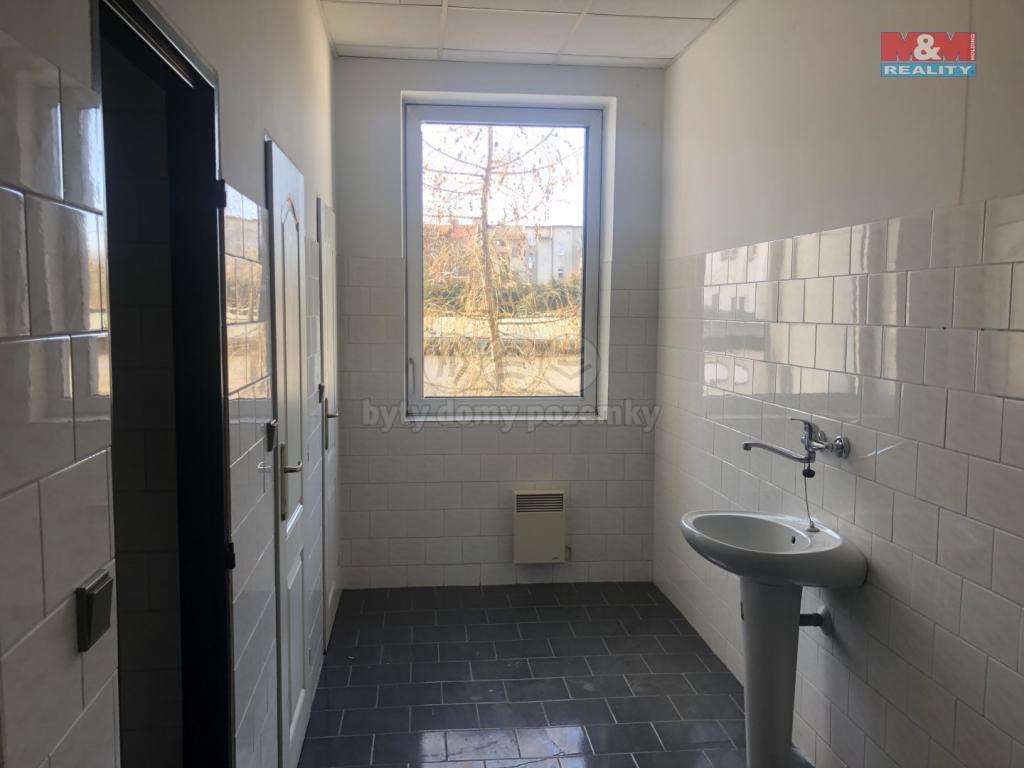 Pronajem bytu 3+1 90 m2