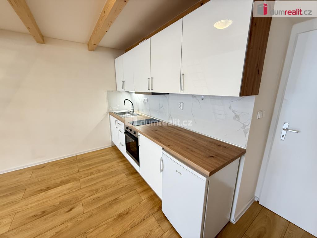Pronájem bytu 1+kk 48 m2