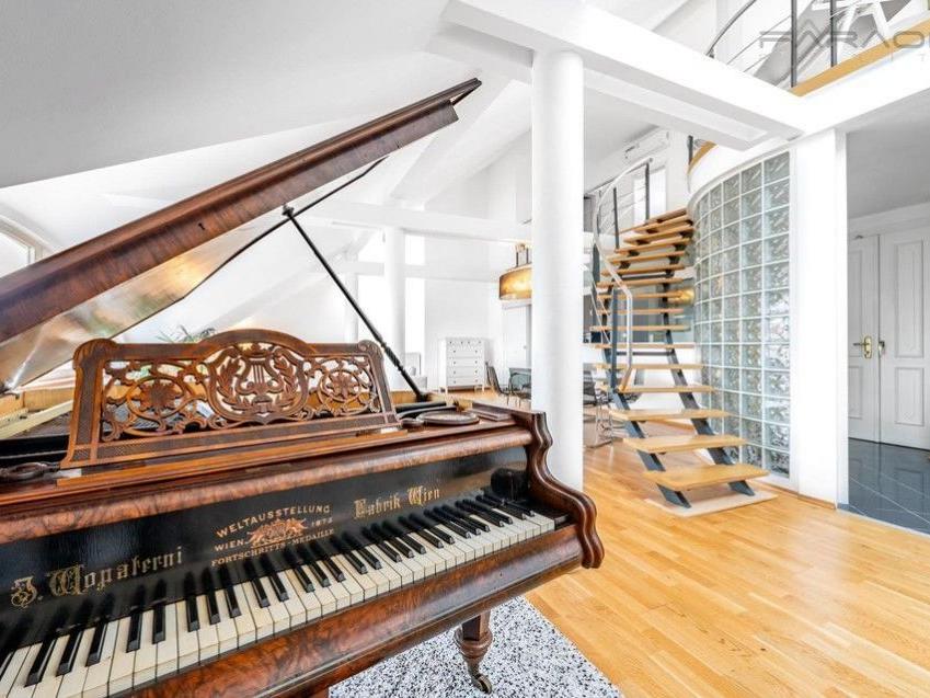 Pronájem bytu 5+kk 250 m2