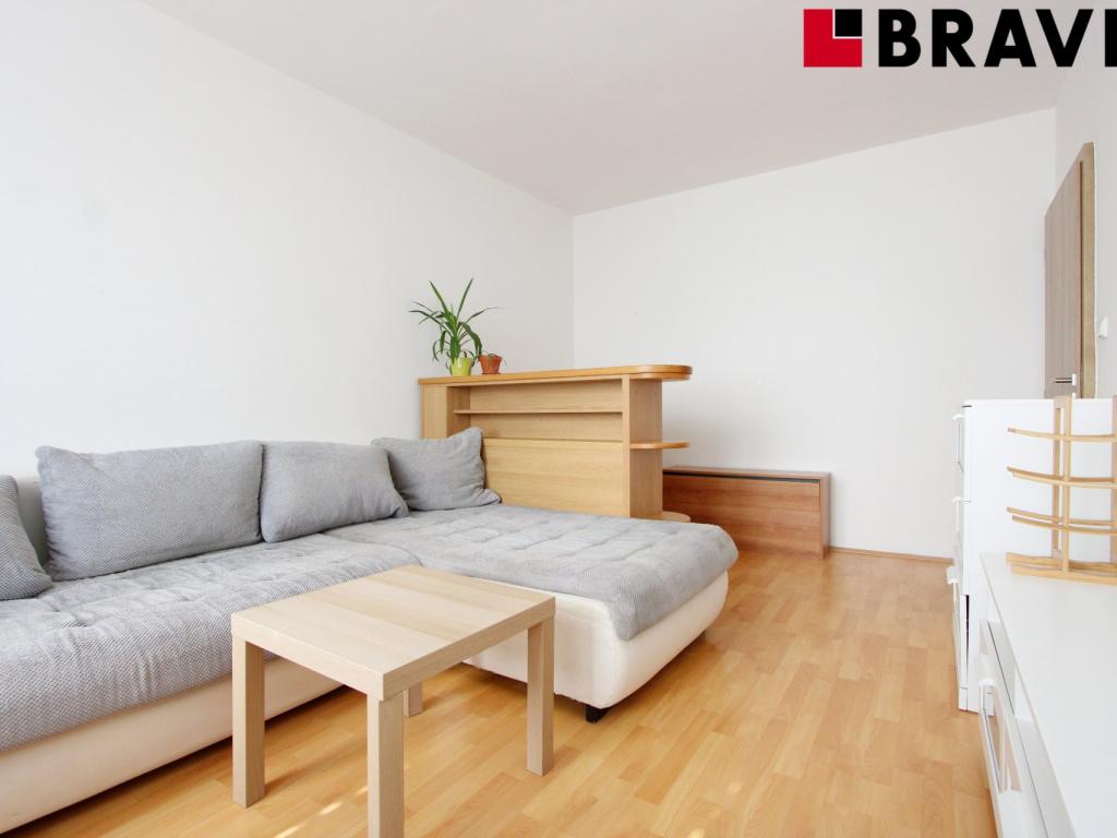 Pronajem bytu 2+1 50 m2