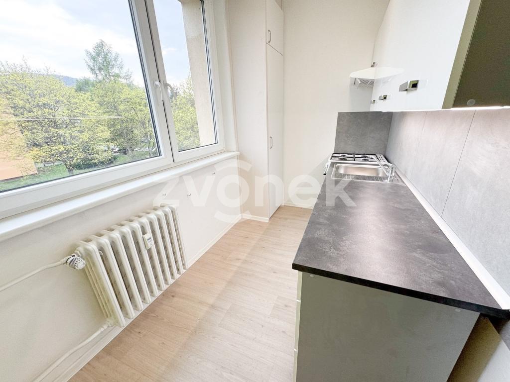 Pronájem bytu 1+1 39 m2