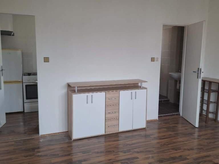 Pronájem bytu 1+1 26 m2